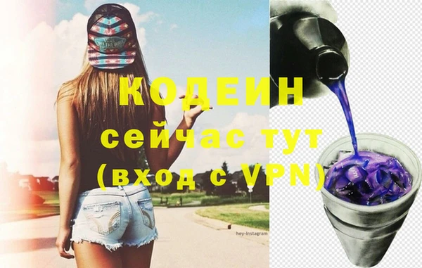 гашик Дмитров
