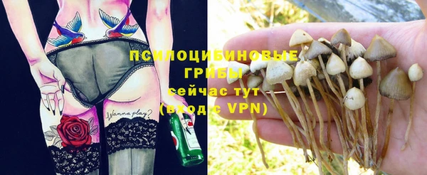 гашик Дмитров